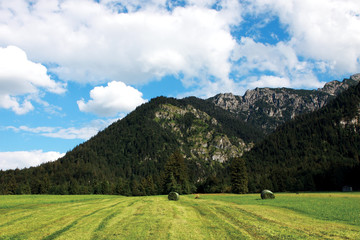 Naklejka premium alpine landscape