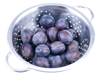 Blue plums in colander