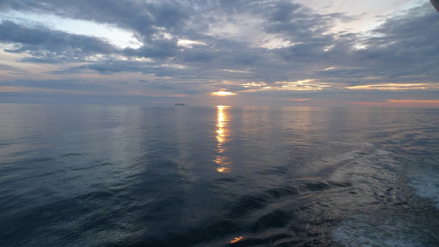 cruise life 3