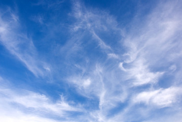 Obraz premium white fluffy clouds in the blue sky