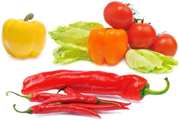 colourful vegetables