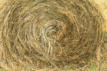 hay bales in a field ( detail )