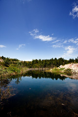 Fototapeta na wymiar beautiful lake on a hillside of pine trees