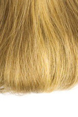 Blonde hair isolated