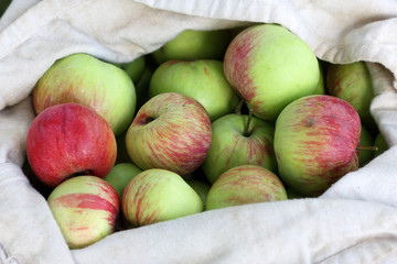 Bag of Red-Green Apples in summer
