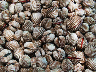 A background of fresh cockles for sale at a market