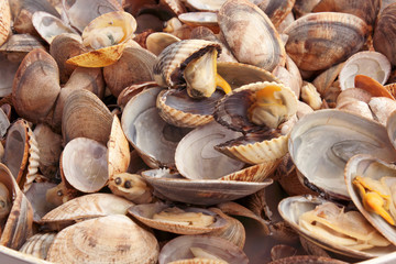 Vongole Veraci