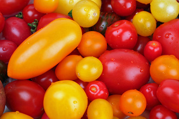 Close up of many fresh colorfull tomatoes.