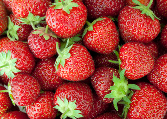 Fresh ripe strawberry