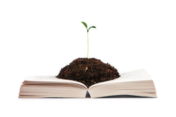 Knowledge concept with books and seedlings