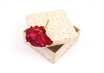 Red Rose on Pretty Gift Box