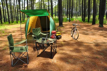 Photo sur Aluminium Automne camping in pine forest