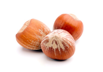 Hazelnuts Composition