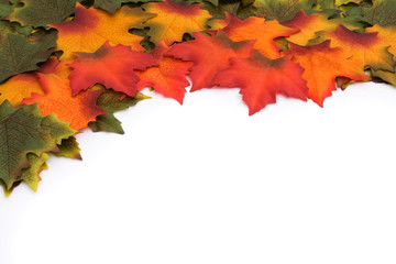 The changing of the seasons