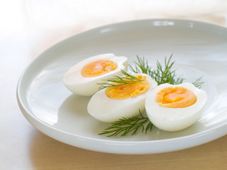 egg