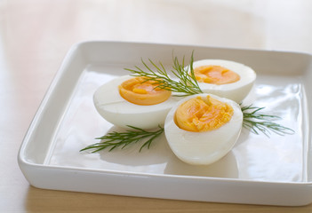 egg
