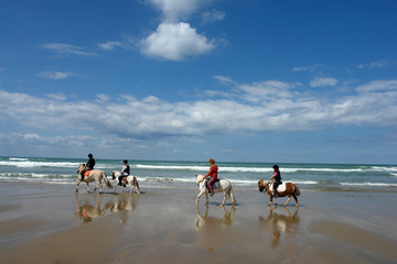 &eacute;t&eacute; sur laplage