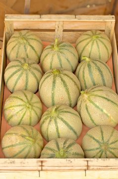 melons in a wooden box