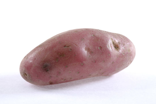 Ch&eacute;rie (pomme de terre)
