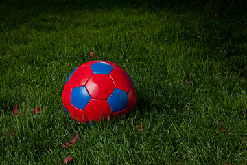 Fototapeta na wymiar Red and blue soccer ball in a field