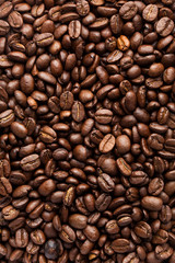 Coffee Bean