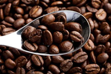 Coffee Bean