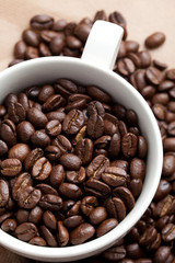 Coffee Bean