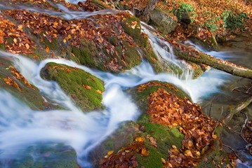 water stream in a moss
