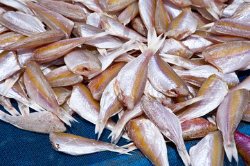 dried fish in thai market