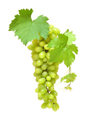 bunch of fresh grapes and leaves