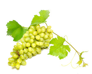 bunch of fresh grapes and leaves