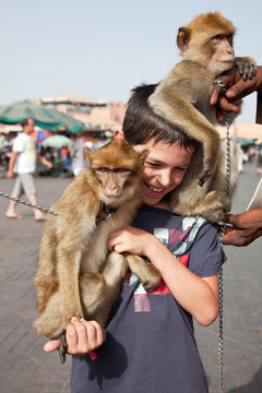 Marrakech : Dresseur de singes "Magot"