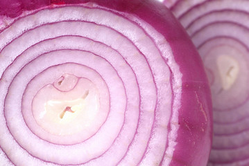 close up red onion slices
