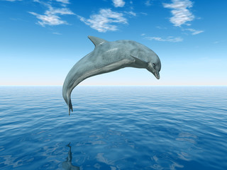 Naklejka premium Springender Delfin