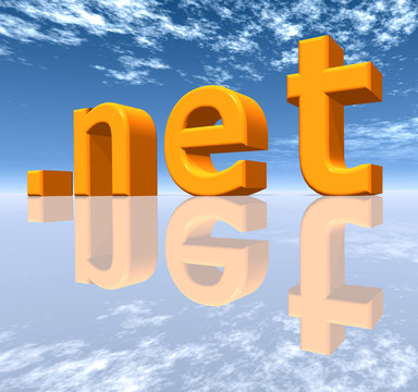 NET Top Level Domain