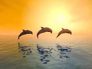 Papier Peint photo Lavable Dauphins Saut de dauphins