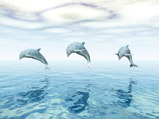 Poster Im Rahmen Jumping Dolphins - Springende Delfine © Michael Rosskothen