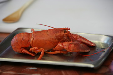 Homard
