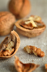 Whole and Crushed Walnuts