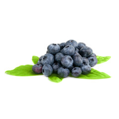blueberry isolated over a white.