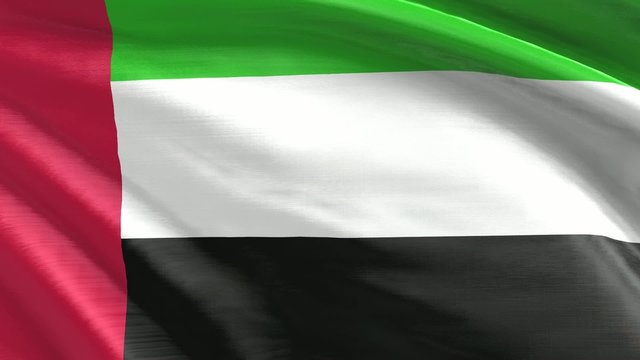 Nahtlos wehende Flagge Vereinigte Arabische Emirate