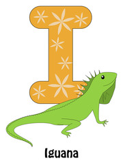 Iguana
