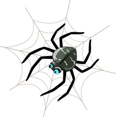 Spider