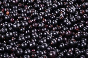 Ripe black currant