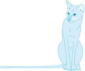 chatte orientale bleue assise