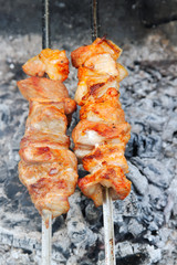 Meat on skewer.