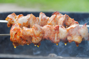 Meat on skewer.