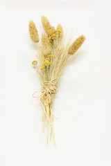 Fiori secchi © marcoemilio