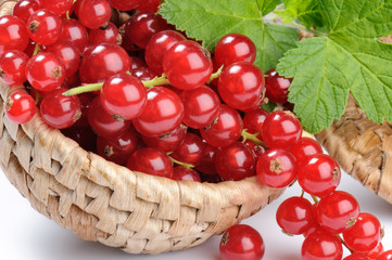 Small woven basket full of red currant