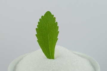 Stevia and sugar / Stevia und Zucker